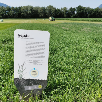Tafel mit Informationen auf dem Weltacker Balzers mit grünen Feld im Hintergrund