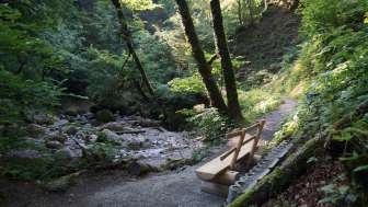 Weg Aabachtobel