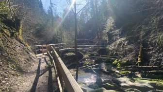 Neuhäuslertobel