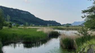 Egelsee Mauren