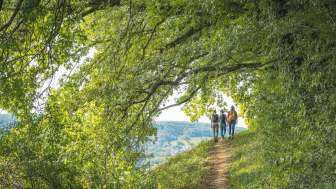 Schweiz Tourismus / Christian Meixner Fotografie