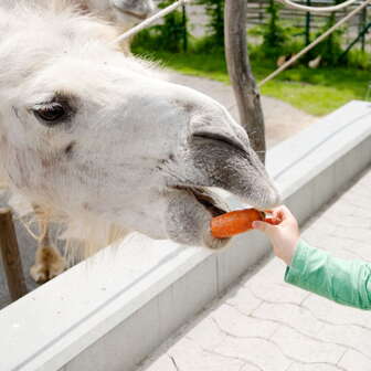 Knies Kinderzoo