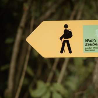 Wali's Enchanted Forest
