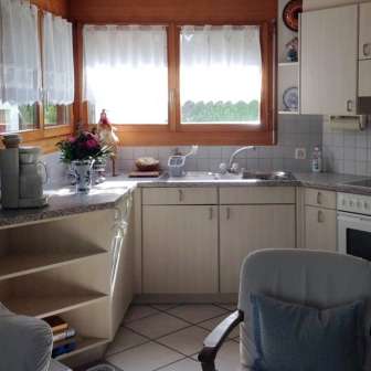 Kitchen in the living-dining area