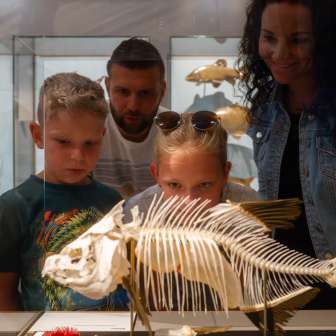 Familie betrachtet ein Fischskelett im Liechtensteinischen LandesMuseum
