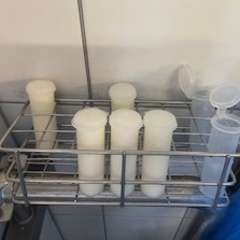 Cheese samples