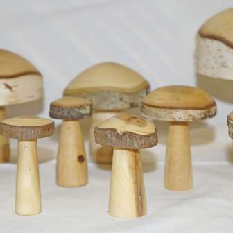 Fungal group