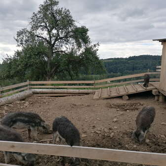 Breakfast Archehof