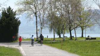 Cyclist