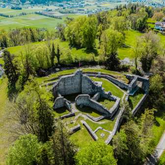 Castle ruins in Schellenberg