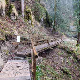 Path