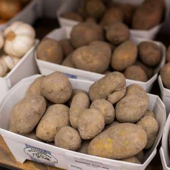 Frisch geerntete Kartoffeln aus eigener Produktion im Hofladen des Neufeldhofs – regional und naturbelassen.