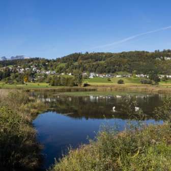 Winterstimmung am Egelsee in Mauren mit gefrorenem See, schneebedecktem Schilf und klarem Himmel.