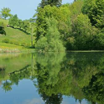 Siessenweiher hoch