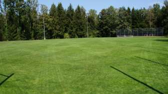 Schellenberg sports field