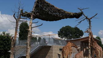 Knies Kinderzoo