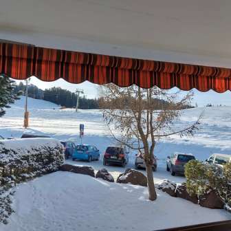 Views in winter