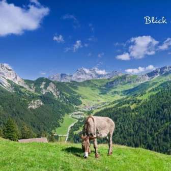 Hotel Oberland