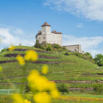 Die Burg Gutenberg thront auf einem Hügel in Balzers in Liechtenstein