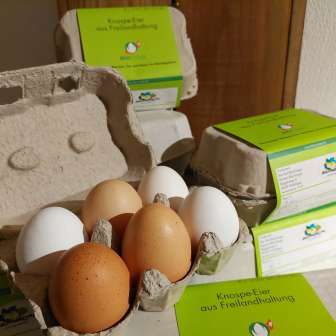 Eggs