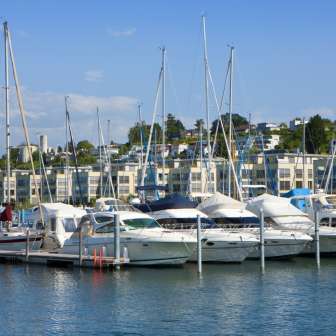 Harbor Staad