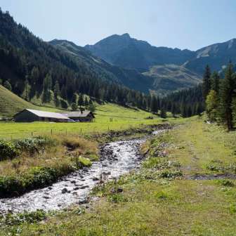 Alp Valüna in Steg