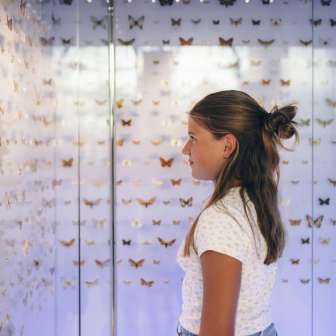 Liechtenstein NationalMuseum