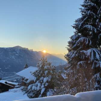 View Winter