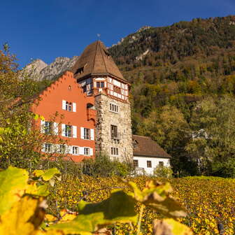 Red House in Vaduz