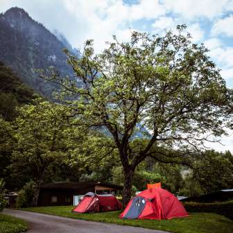 Campsite Mittagsspitze with red tents under a large tree in front of a mountain backdrop.