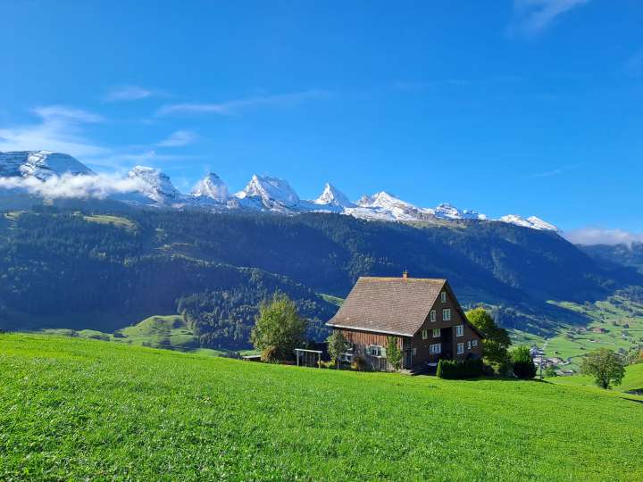 Ferien auf dem Bauernhof Halden