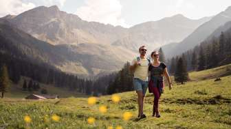 Alp Valüna