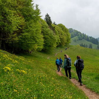 Weg Richtung Rotstein
