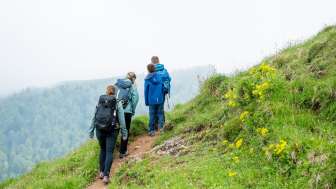Weg vor dem Tweralpspitz Carina
