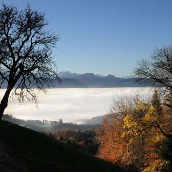 View from Bannholz