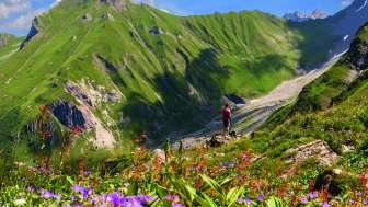 Alp Lawena