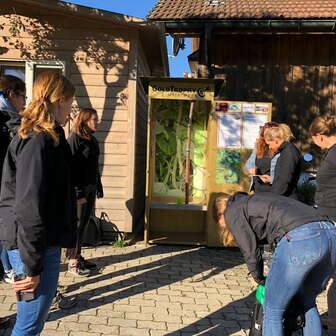 Gold Trophy Kasten mit Personen