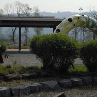 Playground Widau