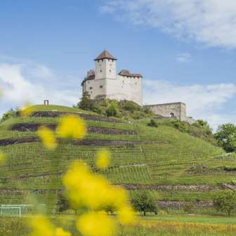 Die Burg Gutenberg thront auf einem Hügel in Balzers in Liechtenstein