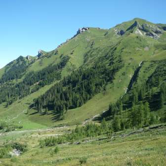 Alp Lawena
