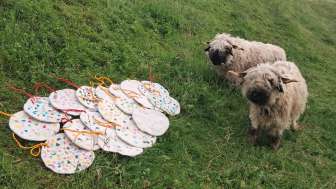Sheep and the work of their wool