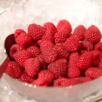 Fresh berries every day