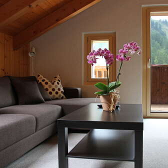Wohnraum Ferienwohnung Beck Bärgtälli