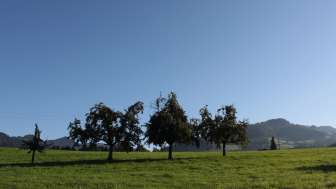 SGK Blick nach Köbelsberg