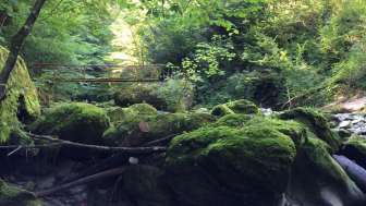 Neuhäuslertobel old bridge