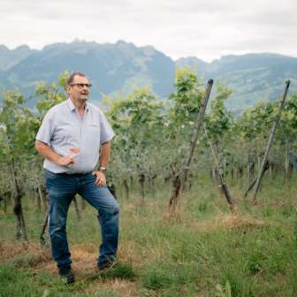 Weingut Castellum