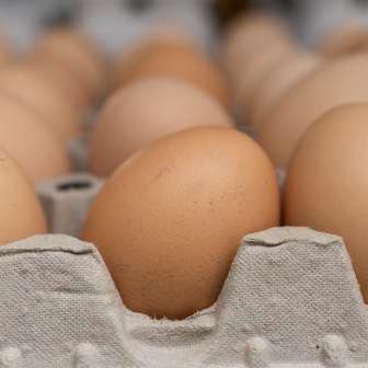 Frische Eier vom Neufeldhof in Liechtenstein – direkt vom Huhn ins Regal, regional und nachhaltig produziert.