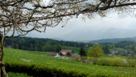 View Restaurant Berg