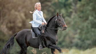 Lucy mit Lusitano Hengst Janota