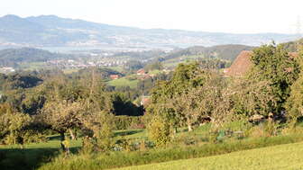 Rüeterswil View of Lake Zurich